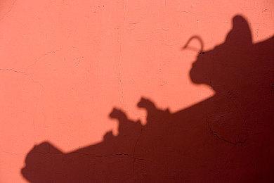 Switch更新14.0.0版系统  新增“分组”等功能